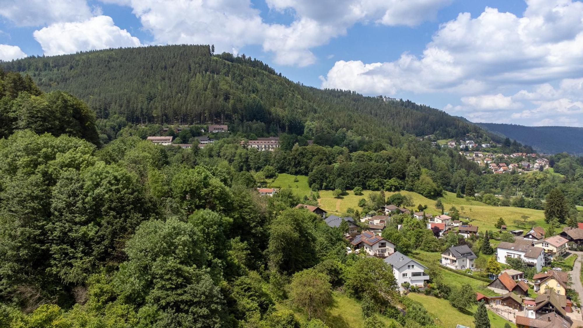 Black Forest Design Apartment Bad Wildbad Dış mekan fotoğraf
