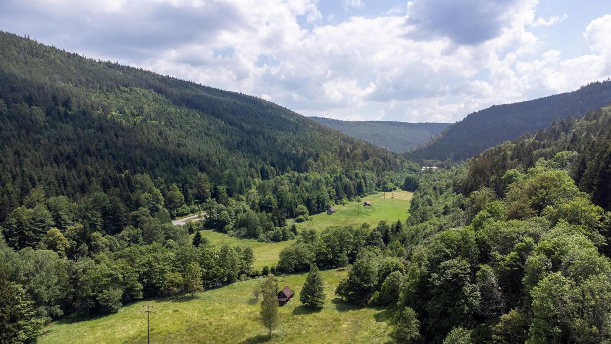 Black Forest Design Apartment Bad Wildbad Dış mekan fotoğraf